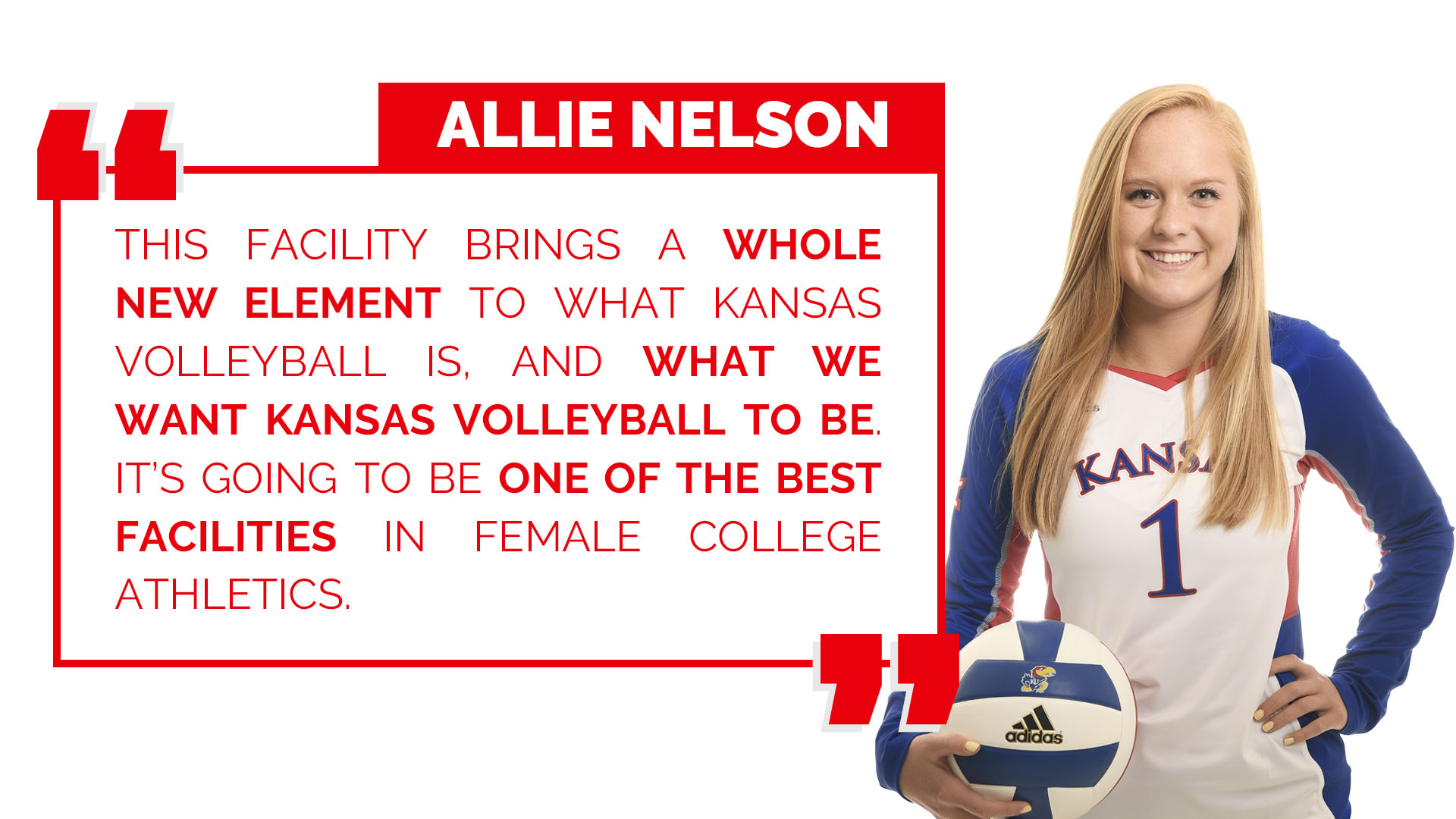 Allie Nelson Quote Graphic
