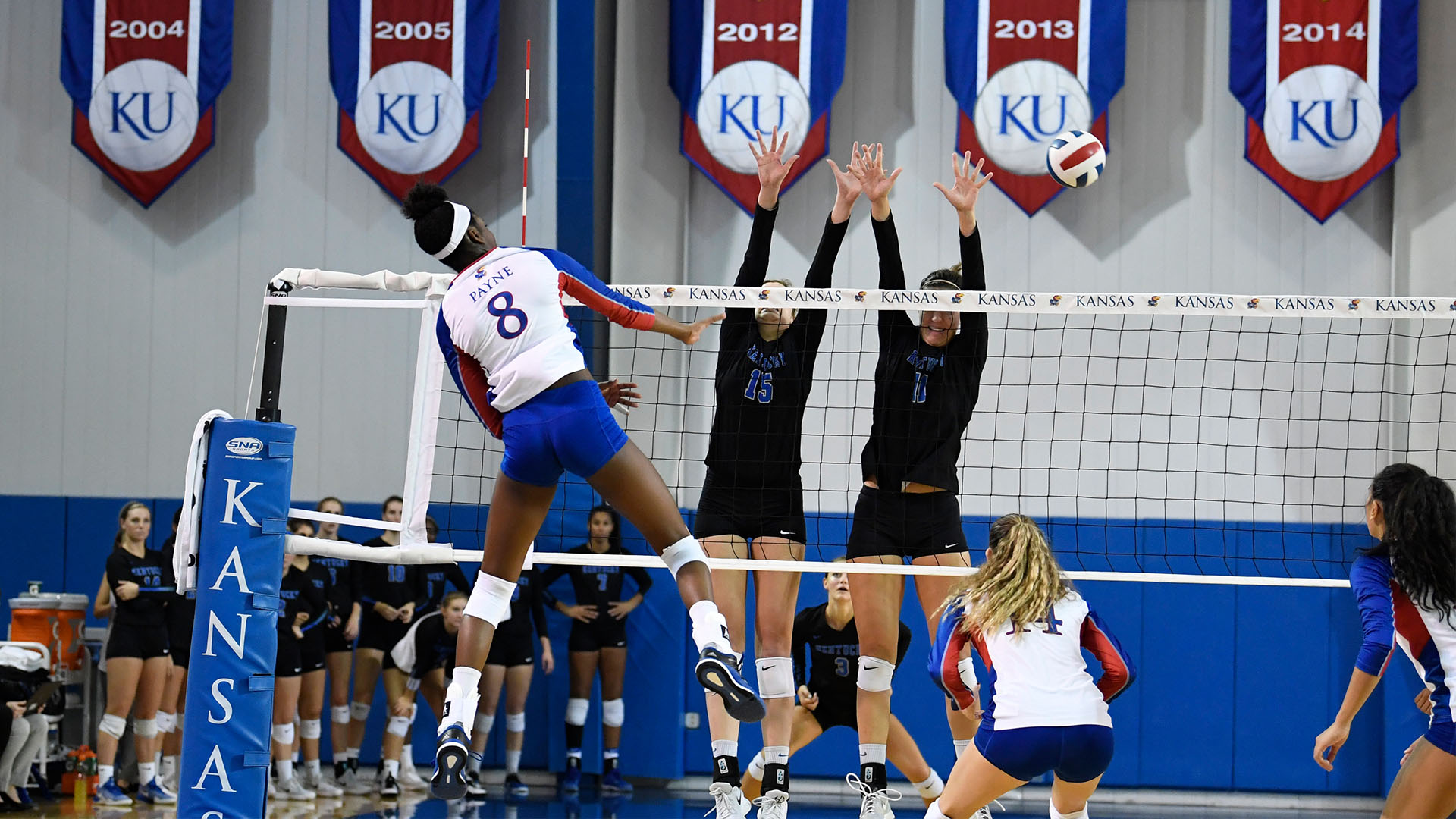 Kelsie Payne two-time AVCA First Team All-American